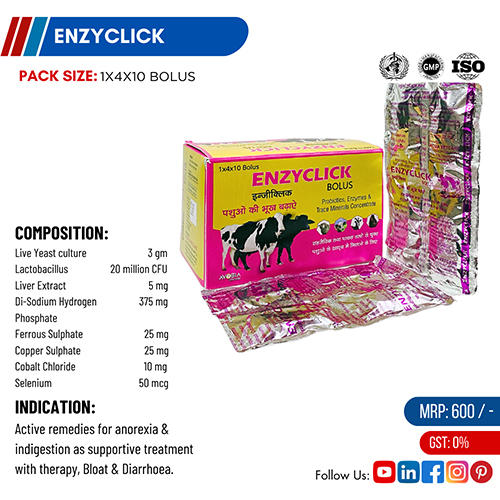 ENZYCLICK BOLUS