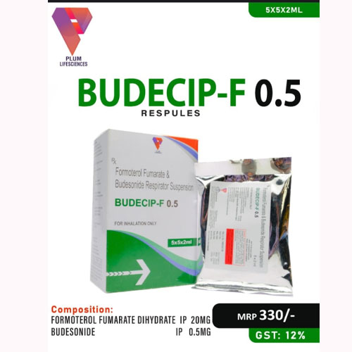 BUDECIP Respriator S...