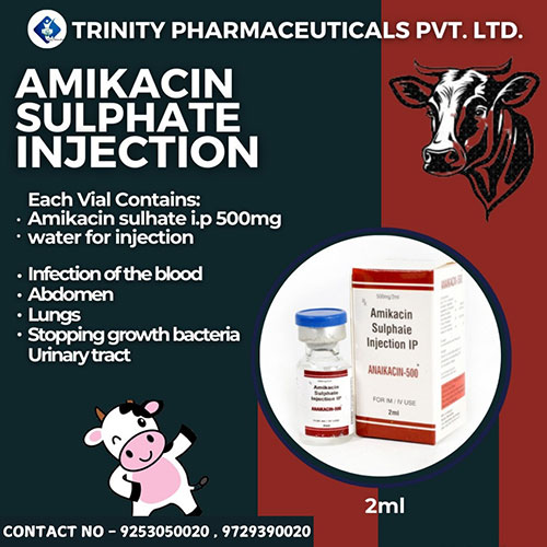 Anaikacin-500 Injection