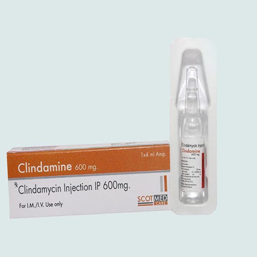 CLINDAMINE-600 Injection