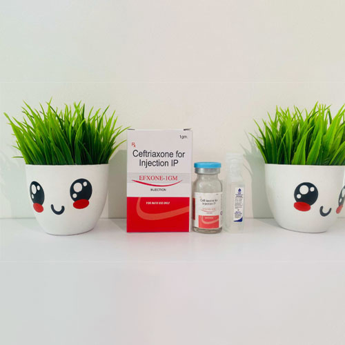 EFXONE-1 GM INJECTION