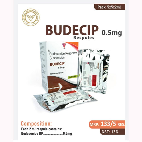 BUDECIP-0.5 MG RESPULES