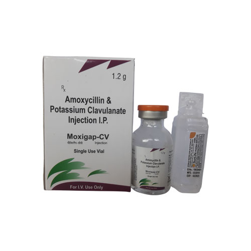 MOXIGAP-CV 1.2 INJECTION