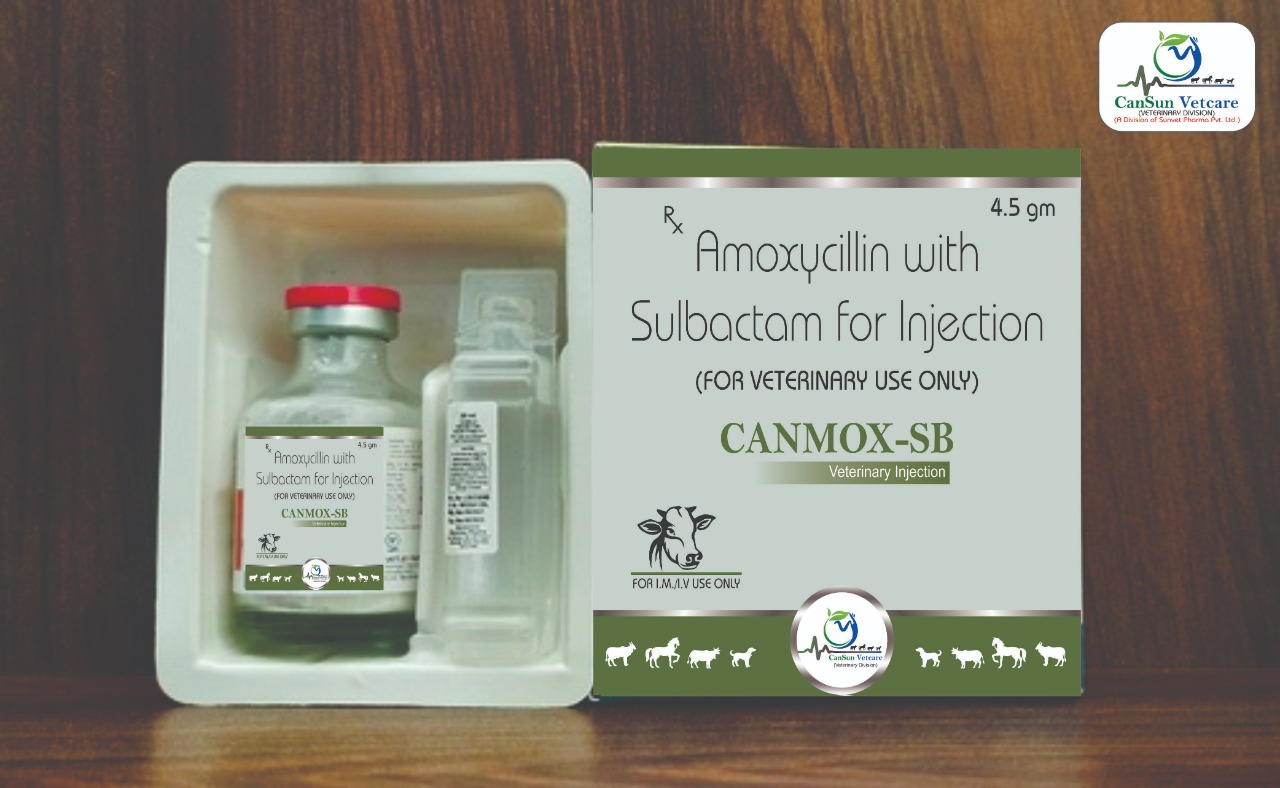 Amoxycillin Sulbactam veterinary injection in Third party manufacturing