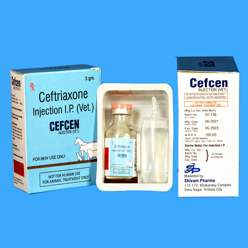 CEFCEN Injection