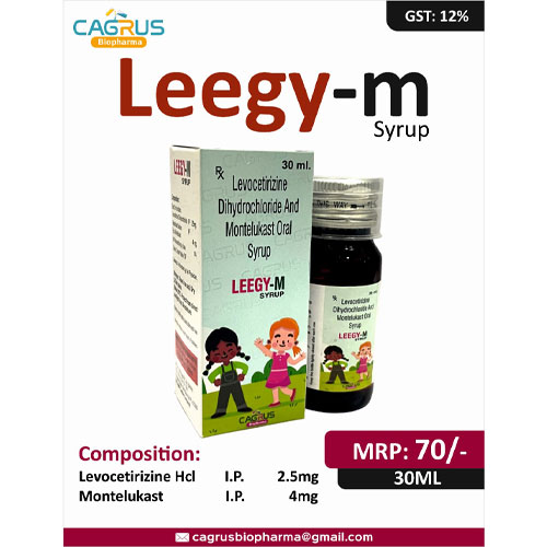LEEGY-M SUSPENSION