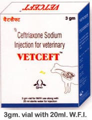 Vetceft Injection