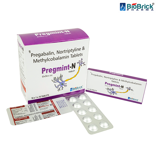 PREGMINT-N Tablets