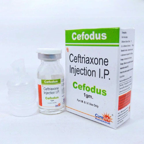 CEFODUS-1gm Injection