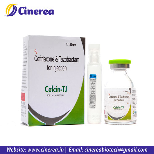 CEFCIN-TJ Injection