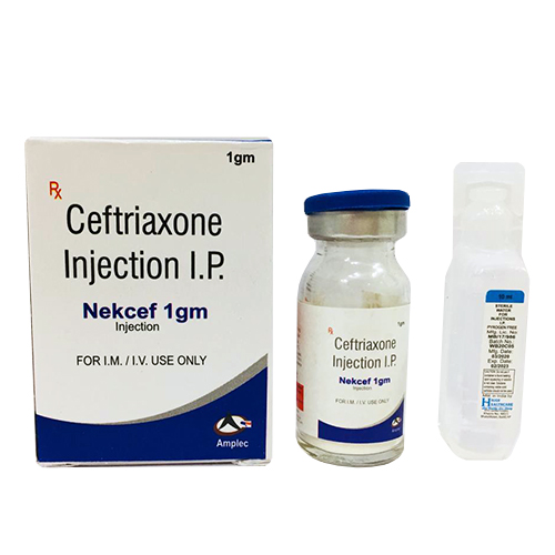 NEKCEF-1gm Injection