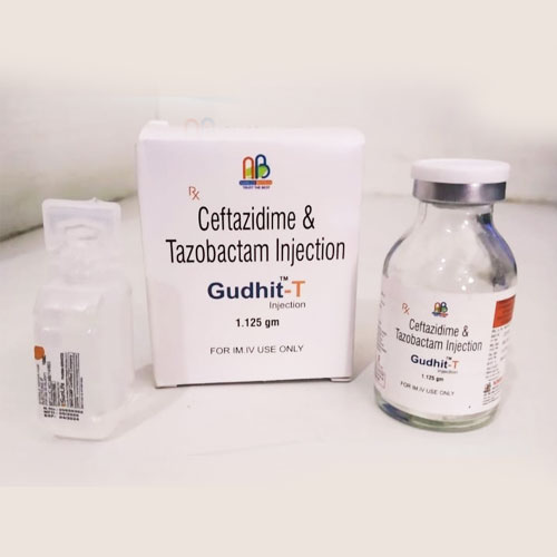 GUDHIT-T Injection
