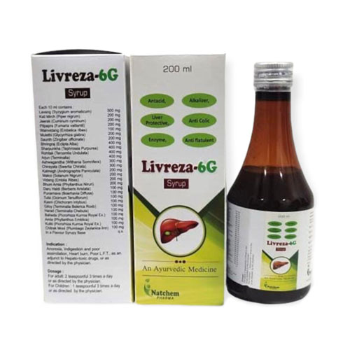LIVREZA-6G SYRUP