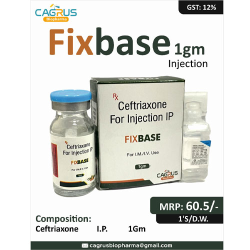 FIXBASE-1GM INJECTION